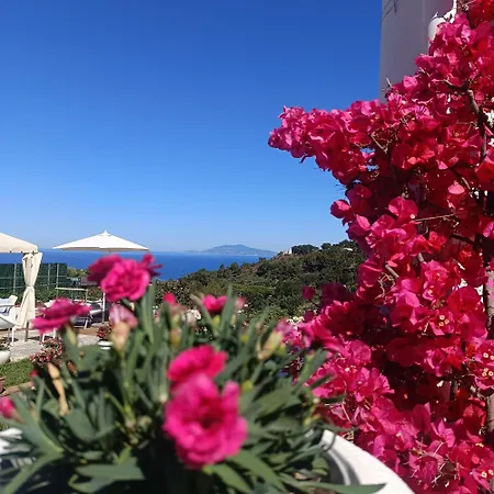 Apartment La Campagnola *